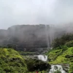 Gallery Thumbnail 2